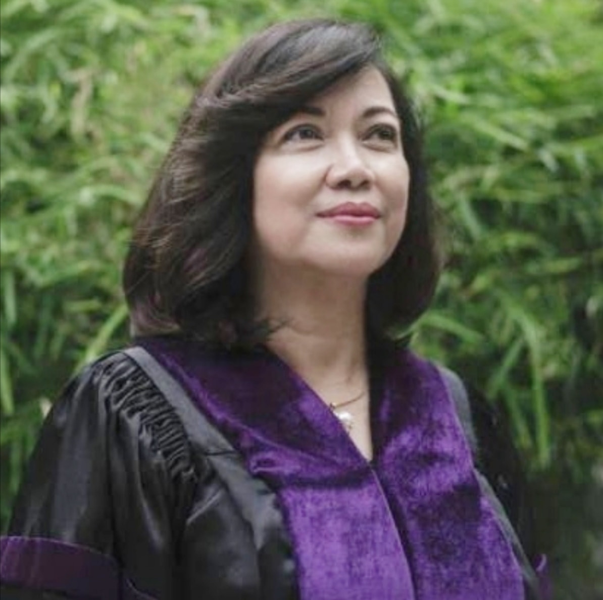 Chief justice shop lourdes sereno